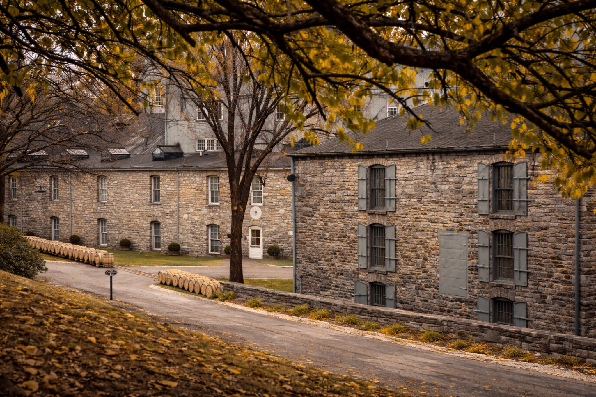 Historic stone rickhouse buildings at Woodford Reserve Distillery framed by autumn trees and aging bourbon barrels.